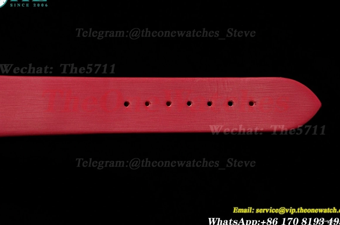 Dumont RG SA AF Quartz Santos Dial Dia Silver Red 0308